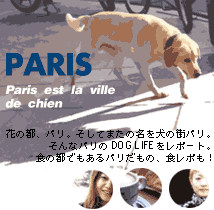 s_contents