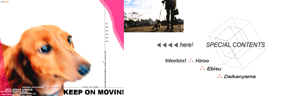 s_contents