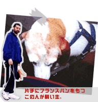 oX`[EIxJt