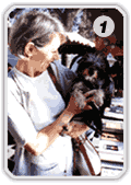 @û݂̎sɂ