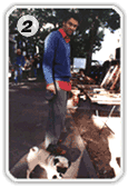 @û݂̎sɂ
