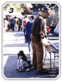 @û݂̎sɂ